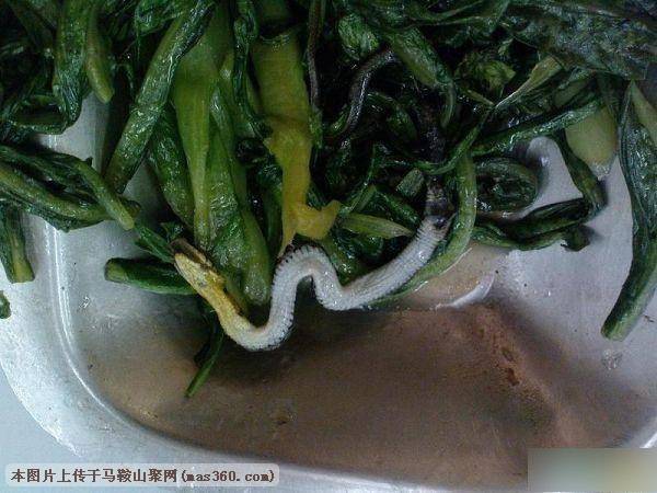 二.jpg