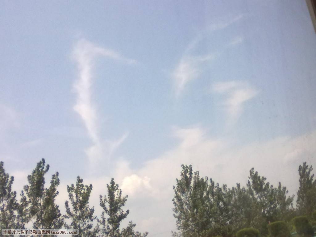 20100720519.jpg