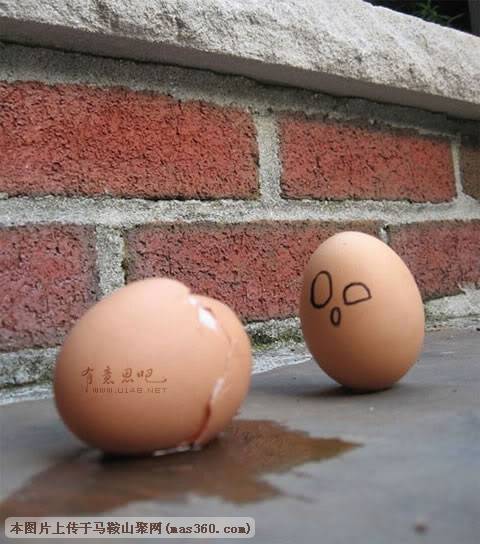 image017.jpg