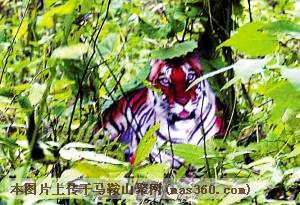 Img252631051.jpg