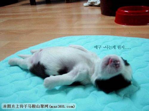 Img222504641.jpg