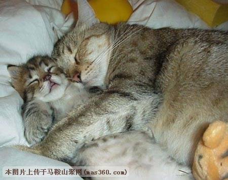 Img222504644.jpg