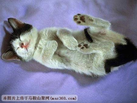 Img222504645.jpg