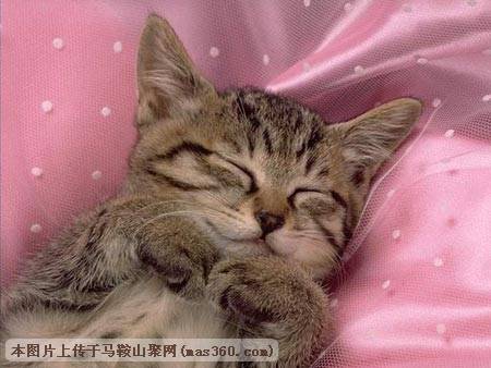 Img222504649.jpg