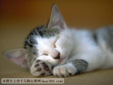 Img222504650.jpg
