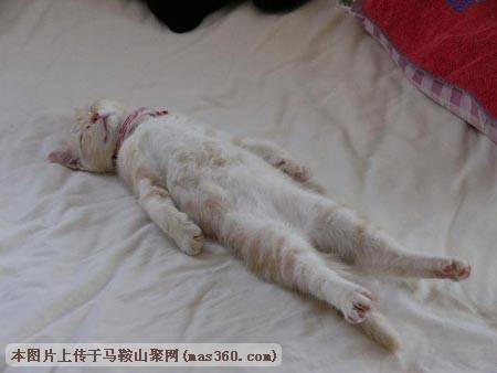 Img222504653.jpg
