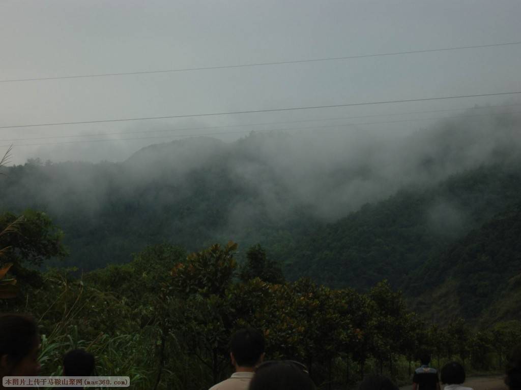 SNV82810.JPG