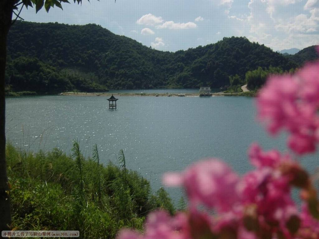 SNV82969.JPG