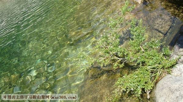 DSC04179_副本.jpg
