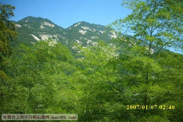 DSCI0151_副本.jpg