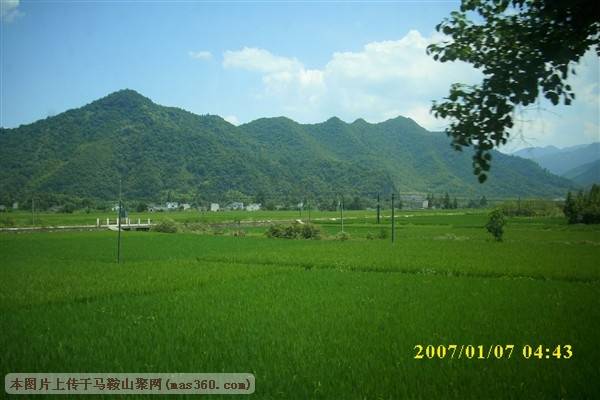 DSCI0193_副本.jpg