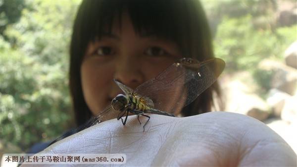 DSC04183_副本.jpg