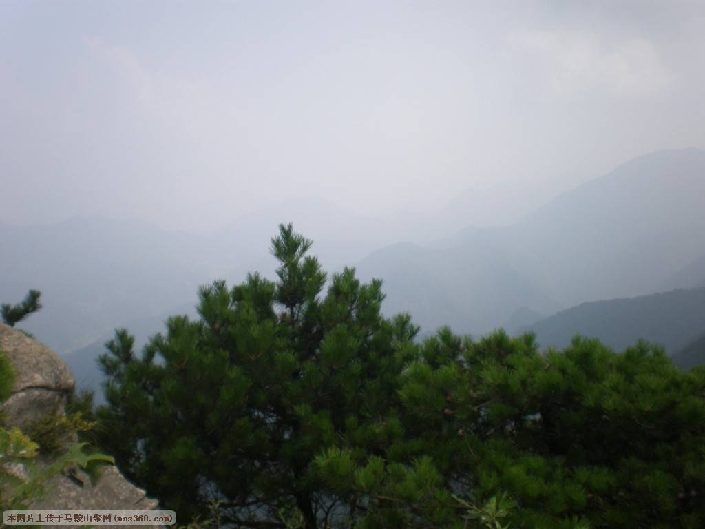P8280042.JPG