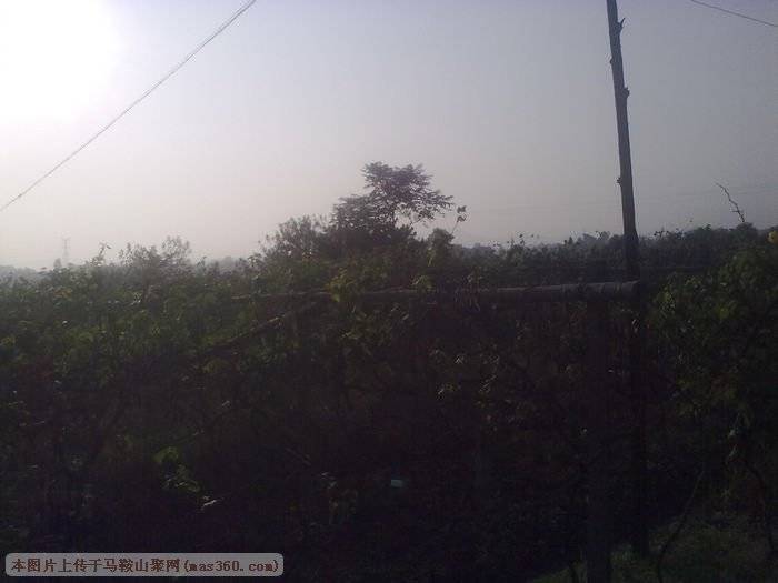 nEO_IMG_180920101504.jpg
