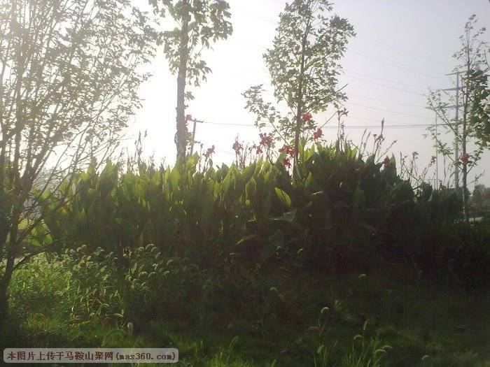 nEO_IMG_180920101534.jpg