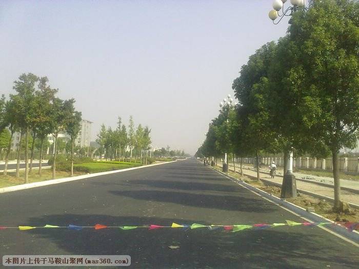 太白大道1