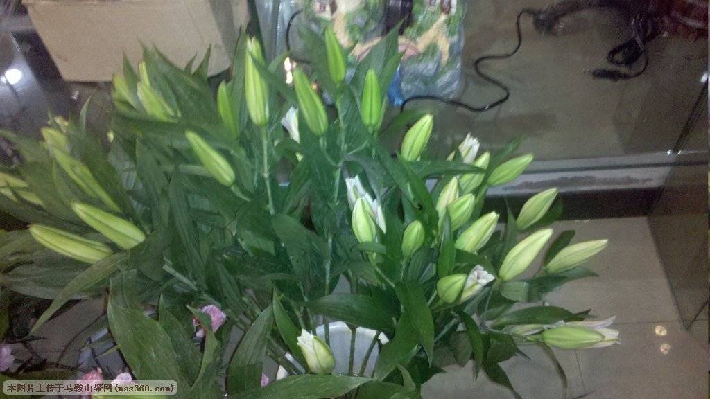 2010-09-26_21-16-49_190.jpg