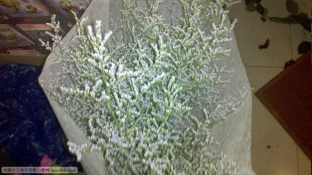 2010-09-26_21-18-16_716.jpg