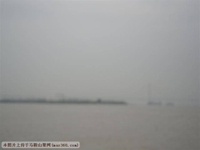 SAM_3387 (小型).JPG