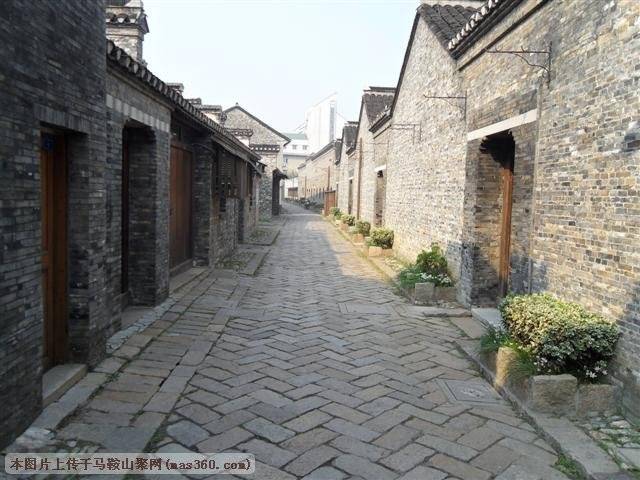 SAM_3450 (小型).JPG