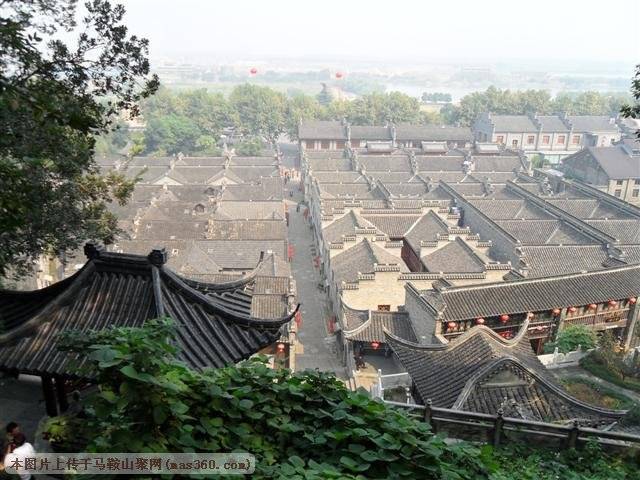 SAM_3496 (小型).JPG