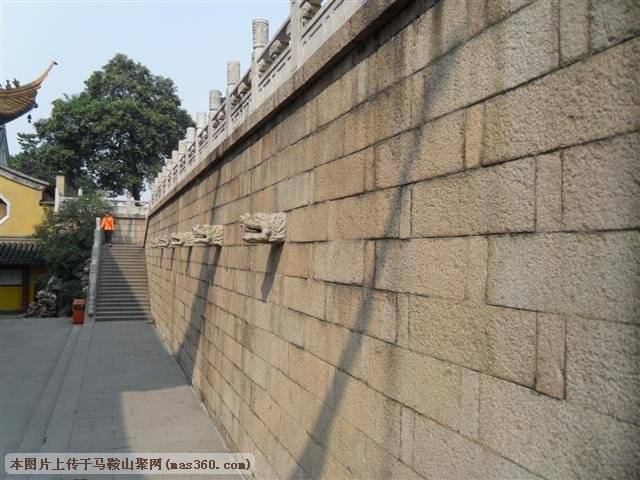 SAM_3565 (小型).JPG