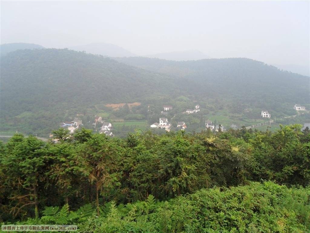 SAM_2795 (大型).JPG