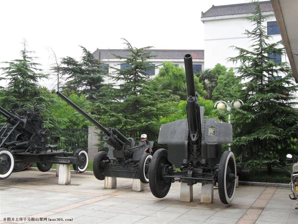 SAM_2815 (大型).JPG