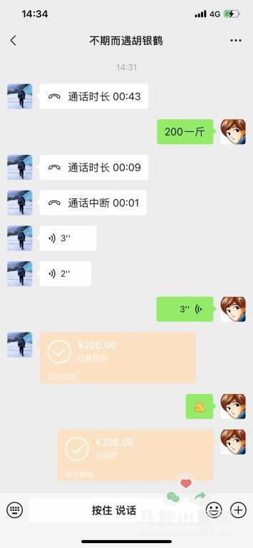 d1.jpg