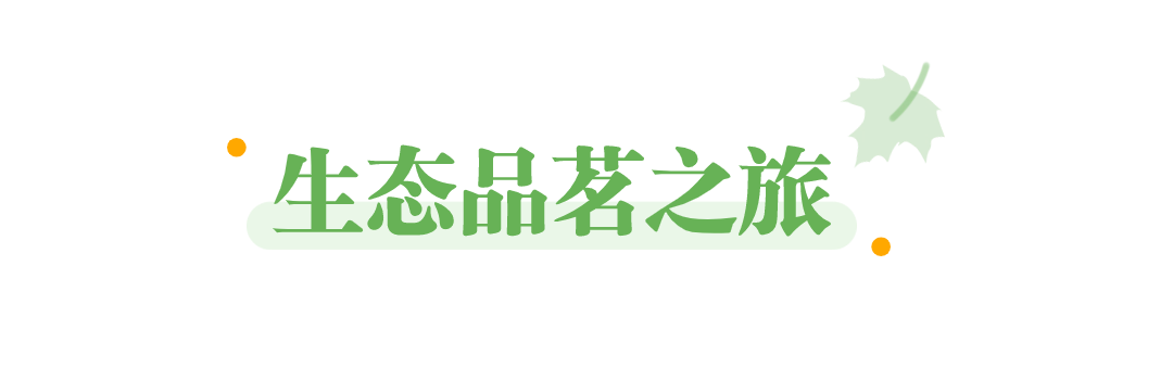 162230unmqmz5ouq6bwum2.png