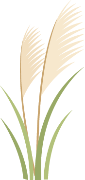 162230yacb7532e7h535b5.png