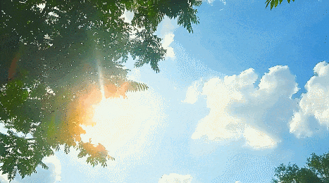 130102e1pcz9lpuftcplvs.gif