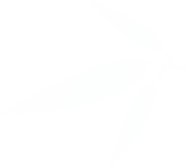 145241gd7xvik8i3svo3m1.png