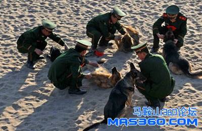 特殊“战友”警犬依依惜别