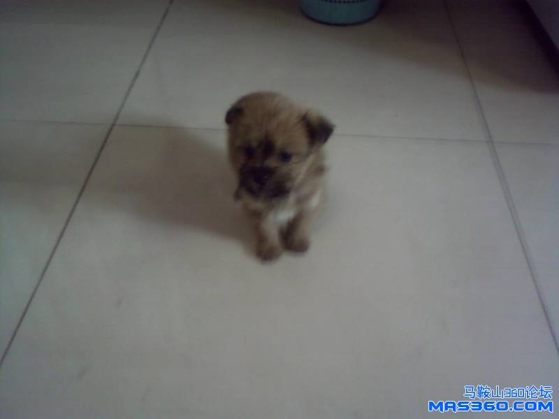 PHOTO21.JPG