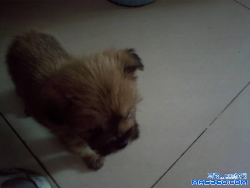 PHOTO20.JPG