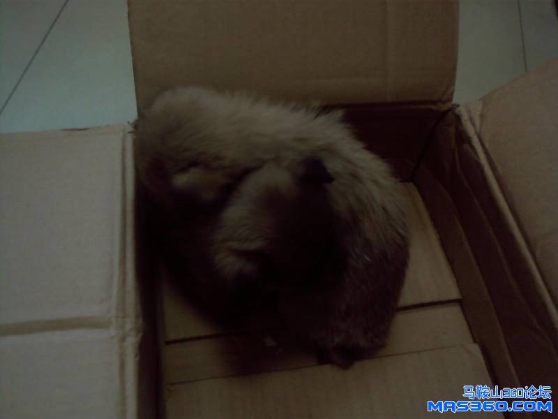 PHOTO14.JPG