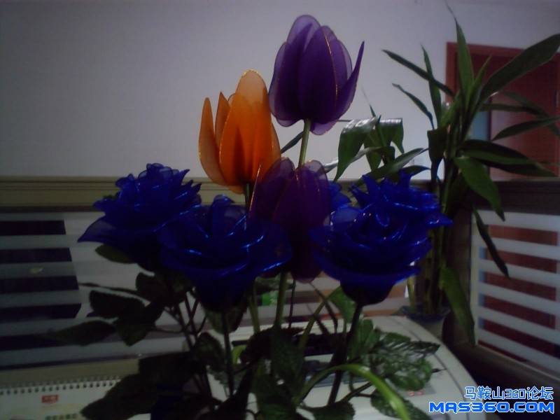 PHOTO3.JPG