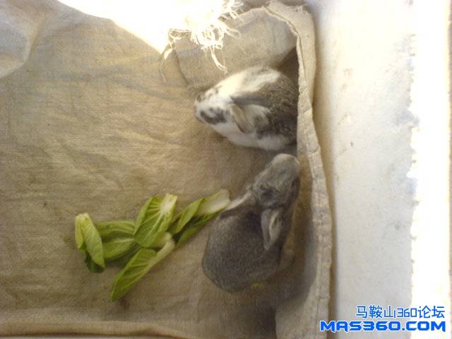 DSC01221.JPG