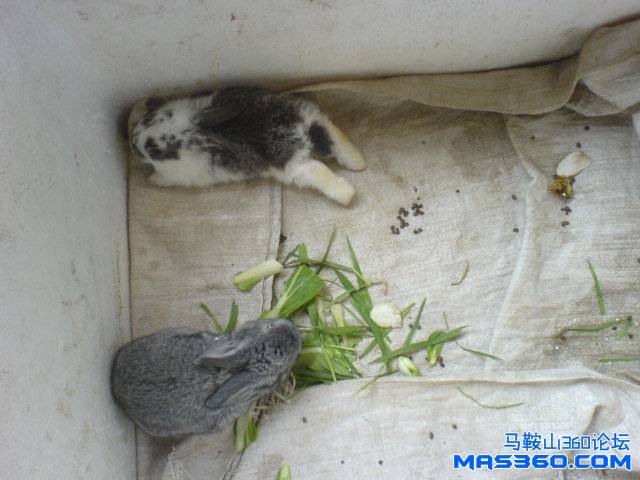 DSC01236.JPG