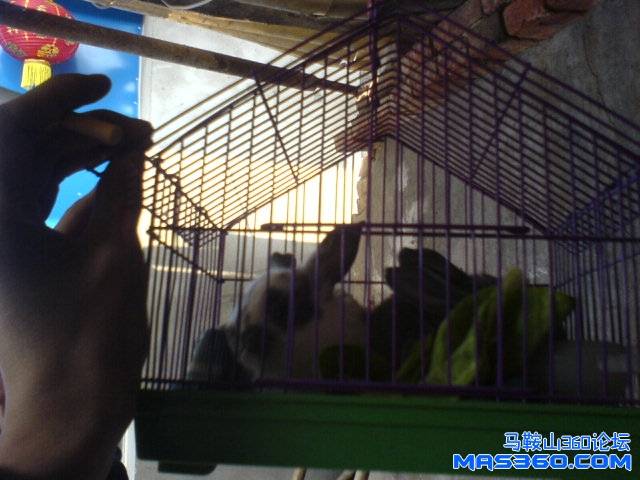DSC01220.JPG