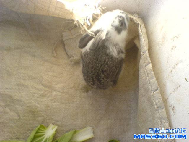 DSC01222.JPG