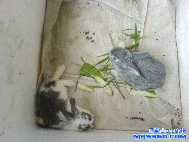 DSC01235.JPG
