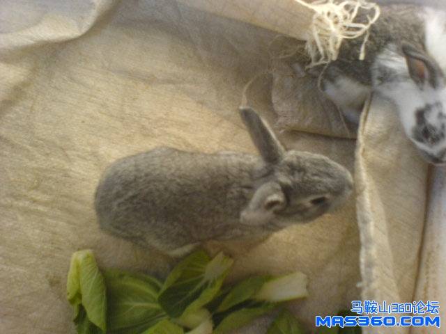 DSC01223.JPG