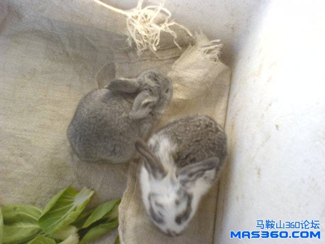 DSC01224.JPG
