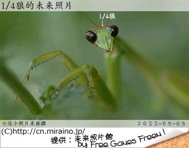 无标题.bmp