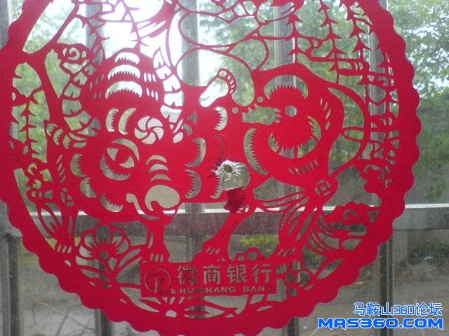 DSC01491.JPG