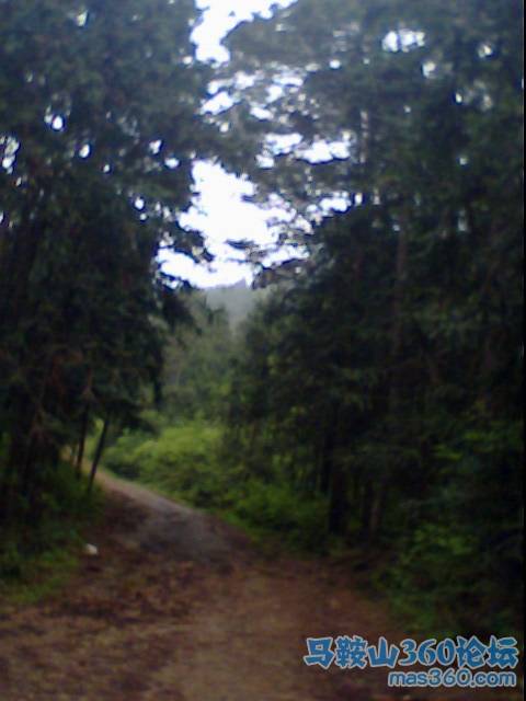 IMG0178A.jpg