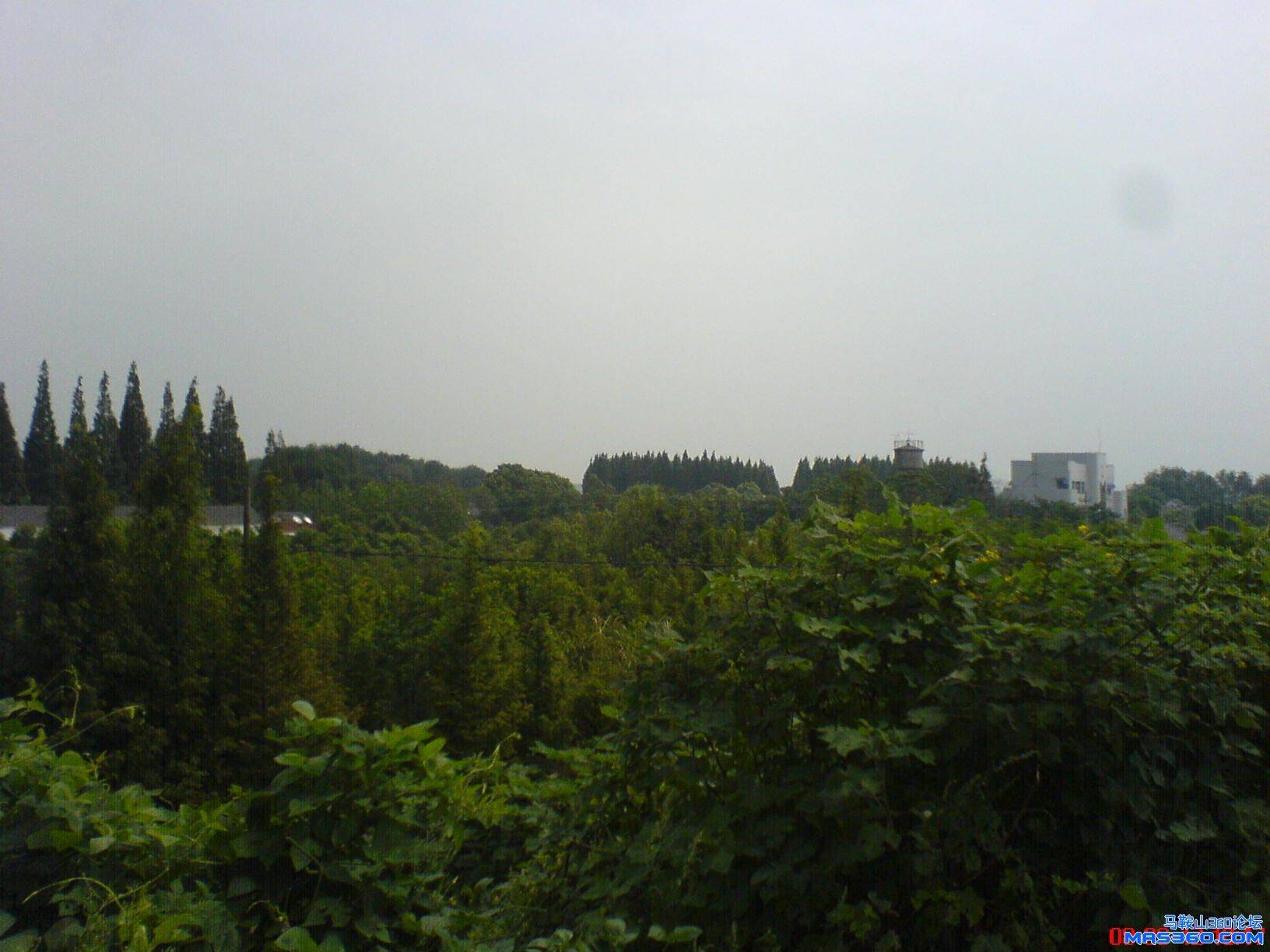 DSC00603.JPG