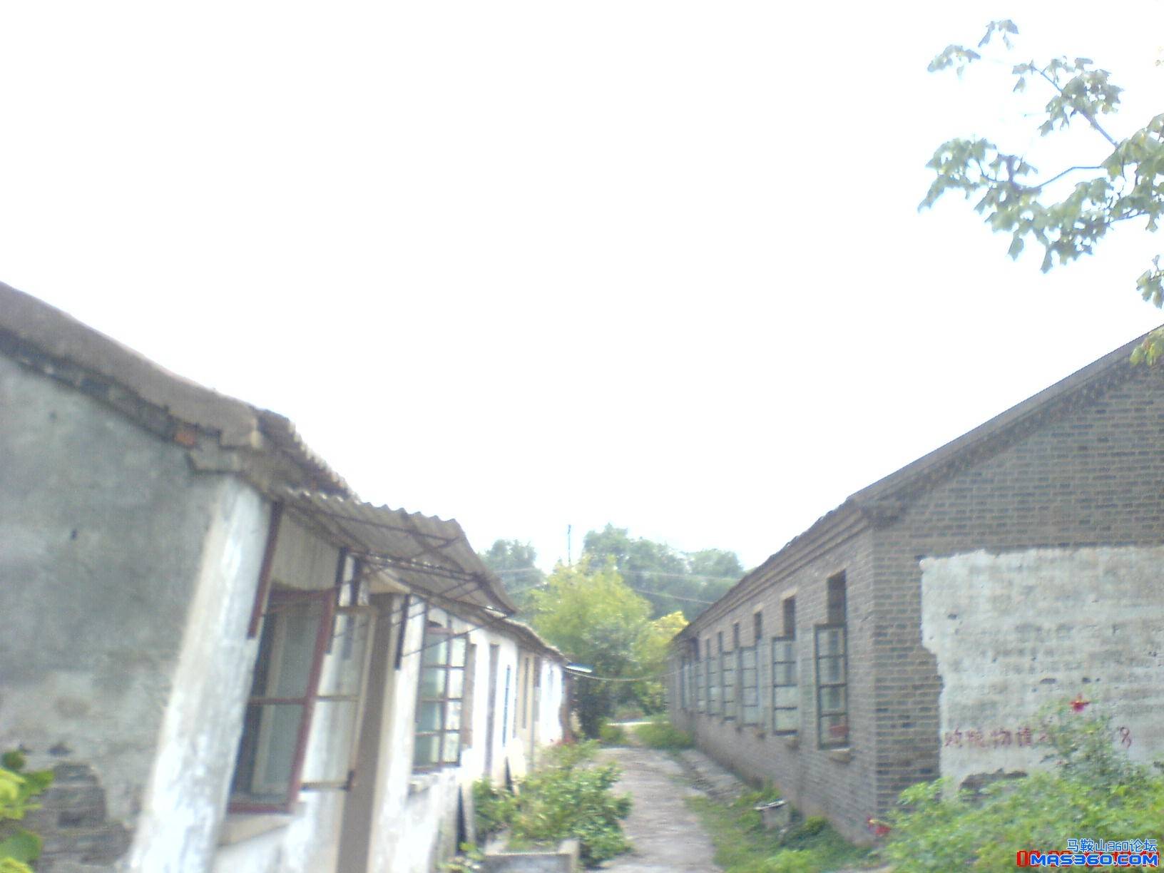 DSC00606.JPG